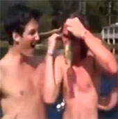 Video: Fishing with hair