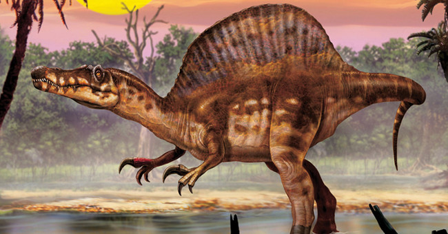 Video: Giganotosaurus fight vs Spinosaurus, which one will win?