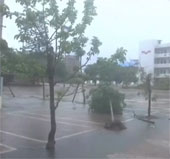 Video: Haiyan storm landed, causing flooding in China