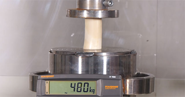 Video: Hardness test of bone with a hundred ton hydraulic press