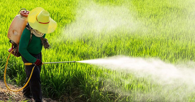 Video: History of invention and use of pesticides