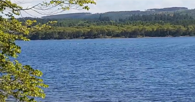 Video: 'Hump back' protruding above water surface belongs to Loch Ness monster