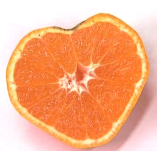 Video: Japanese farmers reveal the secret of planting heart-shaped oranges