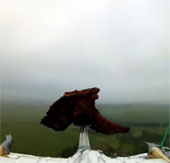 Video: Lamb pieces travel in the atmosphere