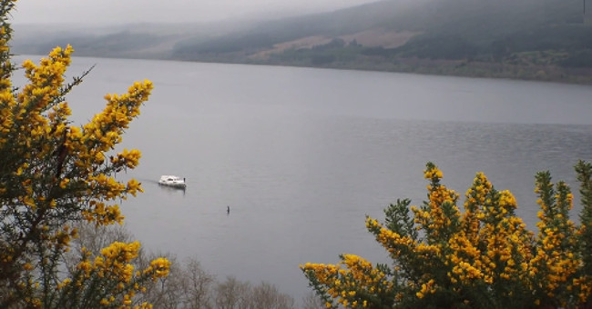 Video: Loch Ness Monster Monster heads up swimming near the passenger boat