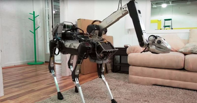 Video: Marvel at pet robots that can do housework