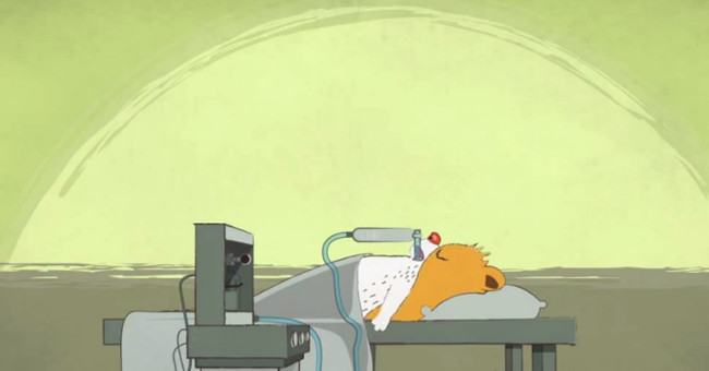 Video: Mechanism of action of three types of anesthesia in surgery