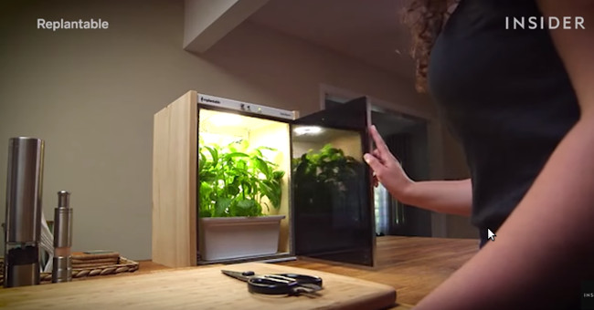 Video: Mini cabinet growing vegetables without caring