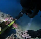 Video: Precious warehouse in ancient wreck in Italy