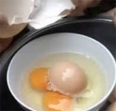 Video: See the egg in the egg