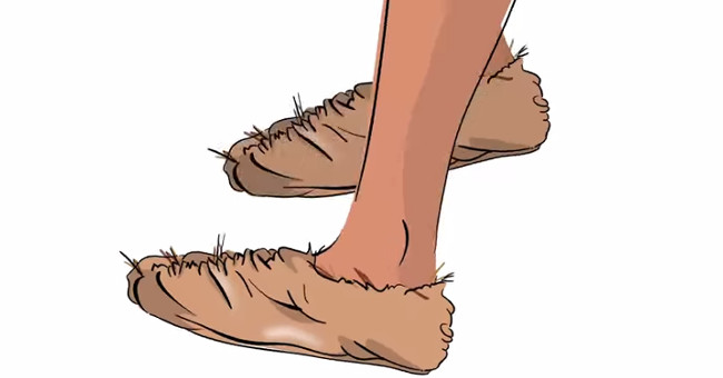 Video: Shoe history from 7000 years BC to modern