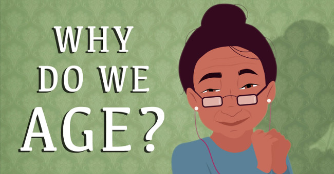 Video: The aging process of cells causes the body to age
