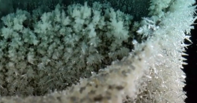 Video: The beauty of metal reaction