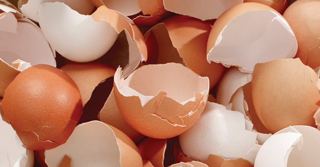 Video: The benefits of eating eggshells
