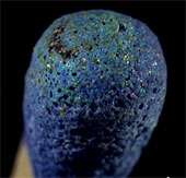 Video: The burning process of matchsticks