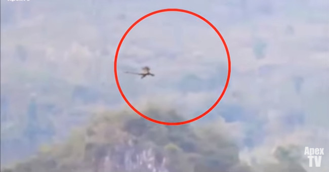 Video: The creature suspected of flying a dragon on a Chinese mountain top