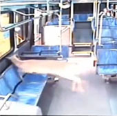 Video: The deer pierced the bus glass