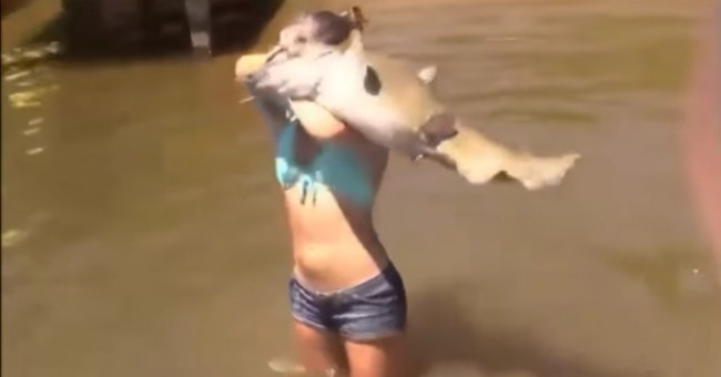 Video: The girl uses her hand to catch giant catfish