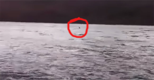 Video: The image is said to be Loch Ness monster