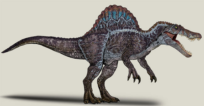 Video: The largest carnivorous dinosaur ever existed on Earth