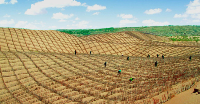 Video: The mixture helps China turn desert into cultivated land