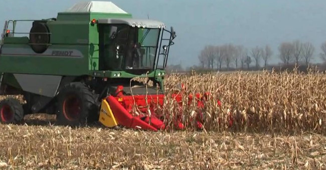 Video: The most spectacular corn-cutting technology ever seen