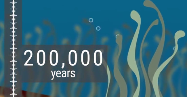 Video: The oldest life forms on Earth