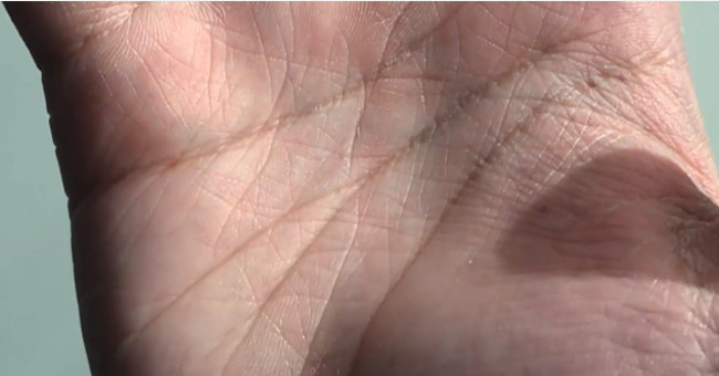 Video: The origin of human pointing finger
