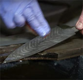 Video: The process of creating the best knives for cooks