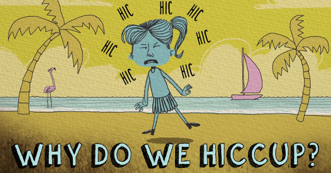 Video: The process of forming hiccups in humans.