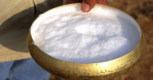 Video: The reason why camel milk is like 'white gold'