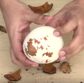 Video: The tip is very simple to extract raw coconut