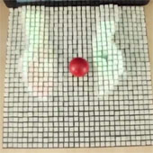 Video: The US develops technology for remote interaction emulation
