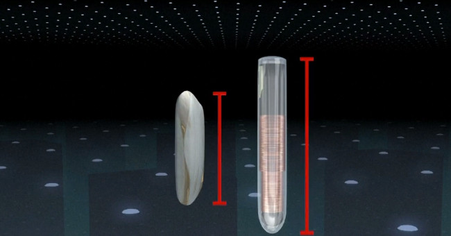 Video: The use of micro-grain rice chips implanted in the hand