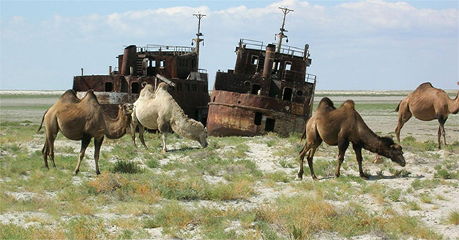 Video time lapse of dryness of the Aral Sea in the past 50 years
