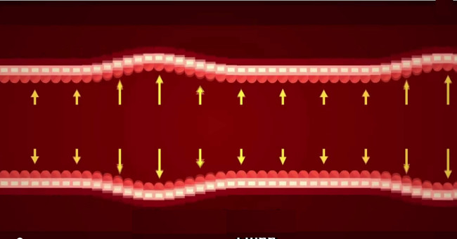 Video: Two types of blood pressure in the body