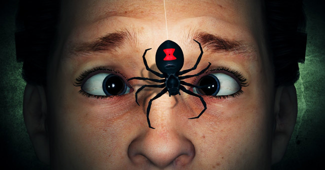 Video: What if it is bitten by the world's most poisonous spider?