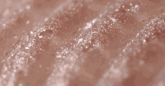 Video: Why do we leave fingerprints when touching everything?