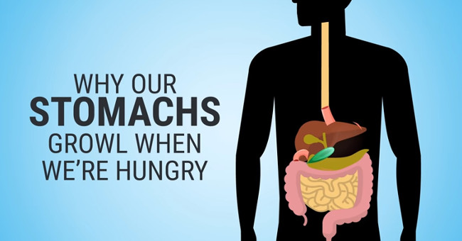 Video: Why does the belly make a cry when hungry?