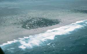 Vietnam: Also need to be wary of tsunamis