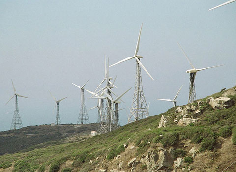 Vietnam announced 7 environmental records