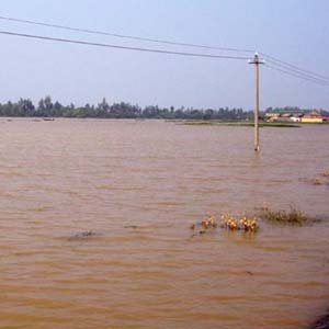 Vietnam climate is becoming abnormal