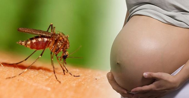Vietnam discovered the first 2 cases of Zika virus