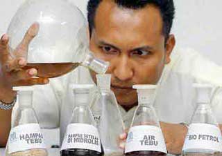 Vietnam established a biofuel development project