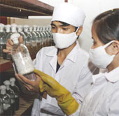 Vietnam expects 3 bio-economic projects with the Netherlands