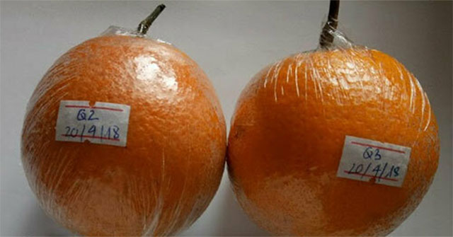 Vietnam first tested the electric field technology to preserve food