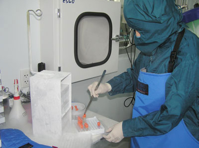 Vietnam has more stem cell banks
