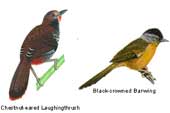Vietnam has the highest biodiversity in the world