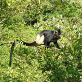 Vietnam is about to have a wildlife park