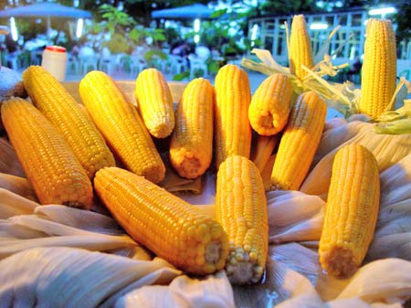 Vietnam is obsolete with genetically modified technology